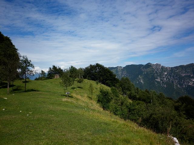 faggi 048.JPG